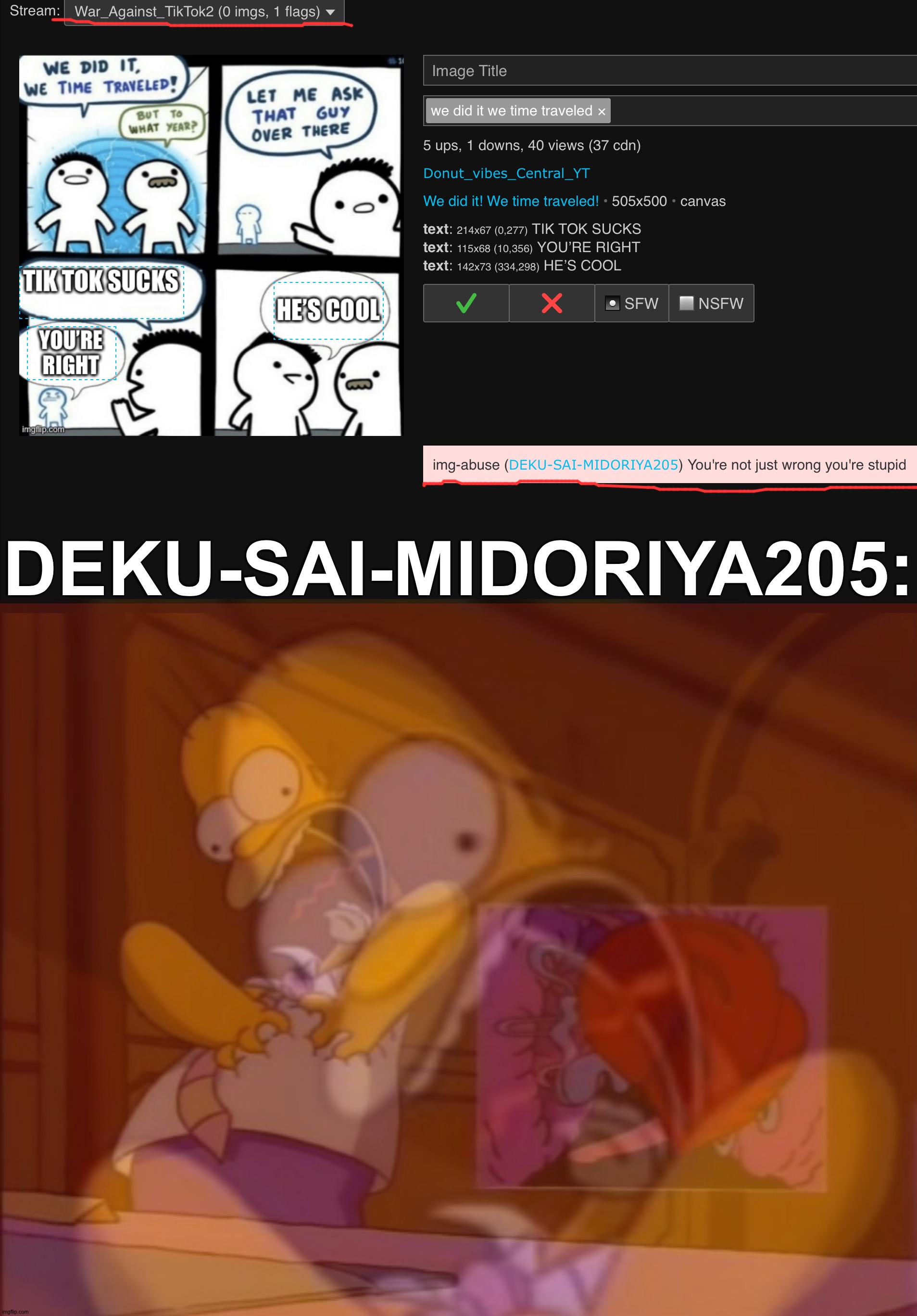 Here we go again. He's having another fit over anti-tiktoks when they're in the correct stream. | DEKU-SAI-MIDORIYA205: | image tagged in homer heart attack | made w/ Imgflip meme maker