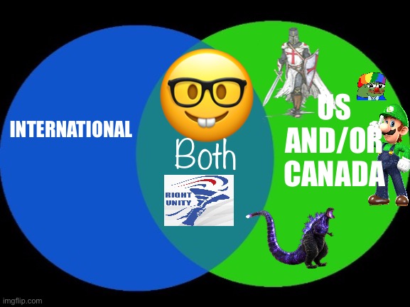 Which party consists of North Americans, which ones of Internationals (Rest of the World) and which one has both? | US AND/OR CANADA; Both; INTERNATIONAL | image tagged in venn diagram | made w/ Imgflip meme maker