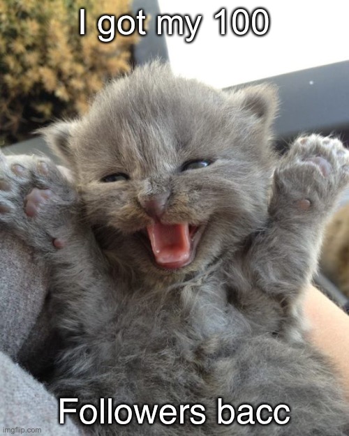 Yay Kitty | I got my 100; Followers bacc | image tagged in yay kitty | made w/ Imgflip meme maker