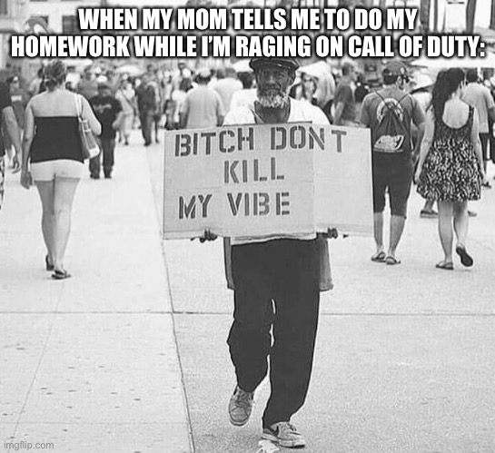 Bitch don’t kill my vibe | WHEN MY MOM TELLS ME TO DO MY HOMEWORK WHILE I’M RAGING ON CALL OF DUTY: | image tagged in bitch don t kill my vibe | made w/ Imgflip meme maker