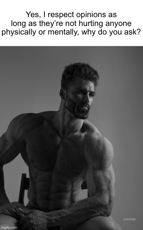 Giga Chad | Yes, I respect opinions as long as they’re not hurting anyone physically or mentally, why do you ask? | image tagged in giga chad | made w/ Imgflip meme maker