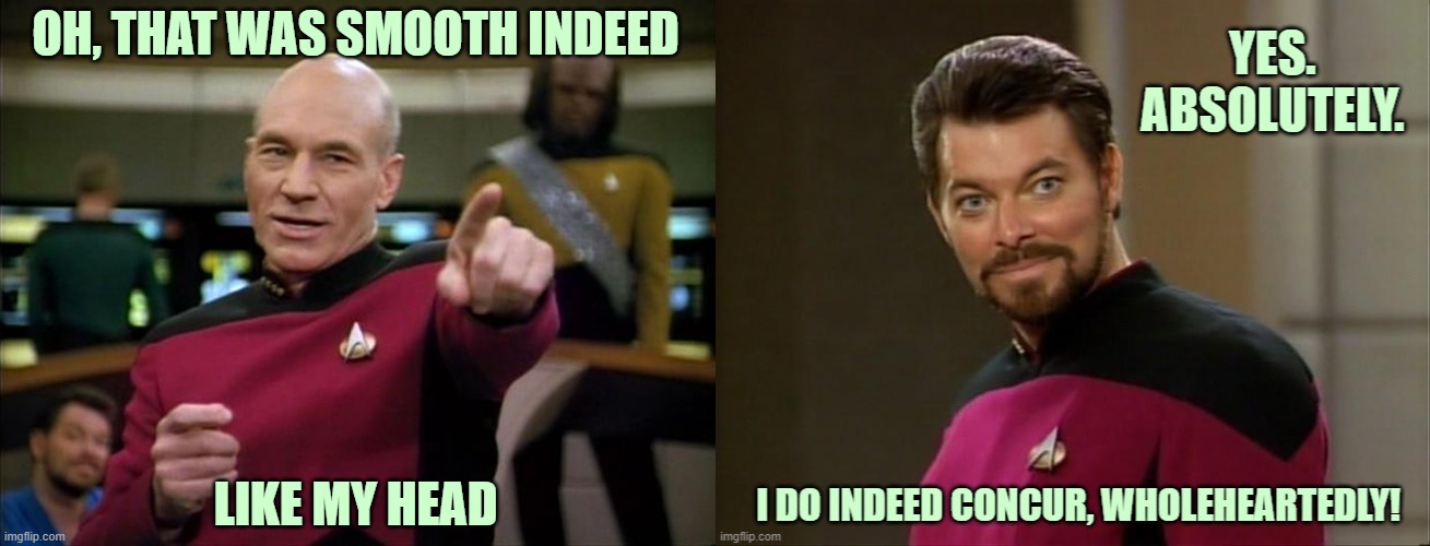 ◄► Reaction: That was smooth, absolutely concur | OH, THAT WAS SMOOTH INDEED LIKE MY HEAD | image tagged in picard,riker,star trek,comment,reaction | made w/ Imgflip meme maker