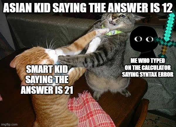 Two cats fighting for real | ASIAN KID SAYING THE ANSWER IS 12; ME WHO TYPED ON THE CALCULATOR SAYING SYNTAX ERROR; SMART KID SAYING THE ANSWER IS 21 | image tagged in two cats fighting for real | made w/ Imgflip meme maker