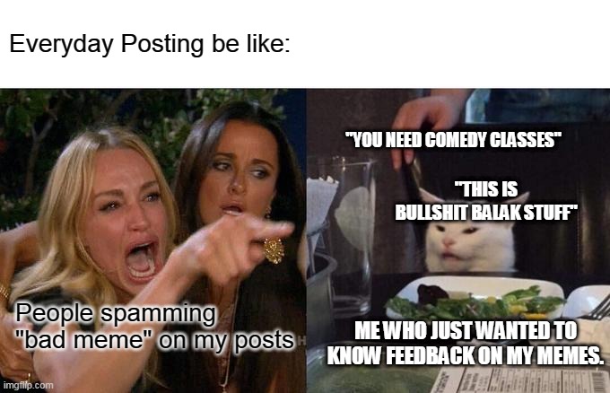 Woman Yelling At Cat | Everyday Posting be like:; "YOU NEED COMEDY CLASSES"; "THIS IS BULLSHIT BALAK STUFF"; People spamming "bad meme" on my posts; ME WHO JUST WANTED TO KNOW FEEDBACK ON MY MEMES. | image tagged in memes,woman yelling at cat | made w/ Imgflip meme maker