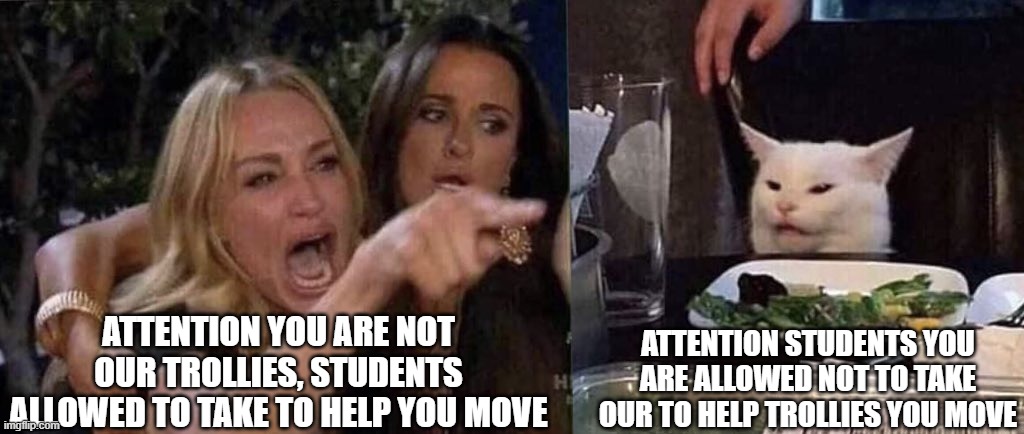 woman yelling at cat | ATTENTION YOU ARE NOT OUR TROLLIES, STUDENTS ALLOWED TO TAKE TO HELP YOU MOVE ATTENTION STUDENTS YOU ARE ALLOWED NOT TO TAKE OUR TO HELP TRO | image tagged in woman yelling at cat | made w/ Imgflip meme maker