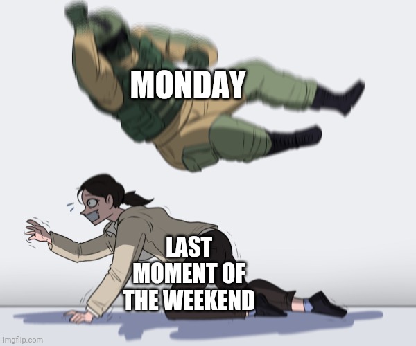 This is the weekend and it's gone |  MONDAY; LAST MOMENT OF THE WEEKEND | image tagged in rainbow six - fuze the hostage,funny memes,memes,monday,weekend | made w/ Imgflip meme maker