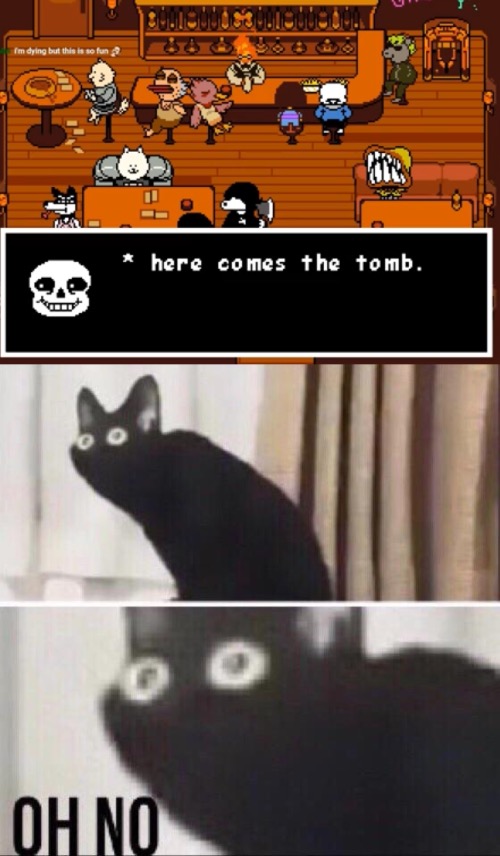 And that’s why you choose pacifist. | image tagged in oh no cat | made w/ Imgflip meme maker