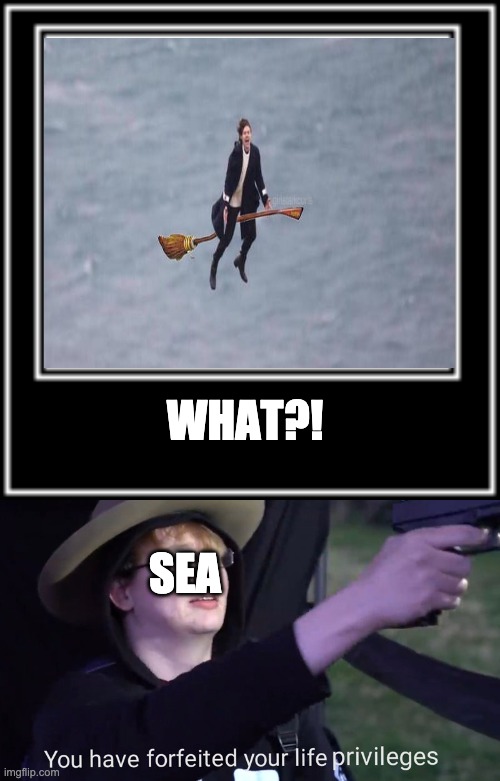 WHAT?! SEA | image tagged in what how,you have forfeited your life privileges | made w/ Imgflip meme maker