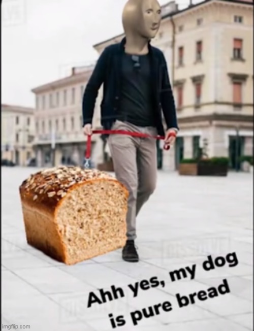 Pure bread dog | image tagged in memes,puns,eyeroll | made w/ Imgflip meme maker