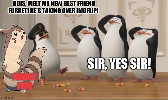 Penguins of Madagascar | BOIS, MEET MY NEW BEST FRIEND FURRET! HE'S TAKING OVER IMGFLIP! FURRET FUR! SIR, YES SIR! | image tagged in penguins of madagascar | made w/ Imgflip meme maker
