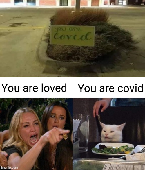 You are covid | You are loved; You are covid | image tagged in woman yelling at cat,funny,memes,funny memes,love,covid | made w/ Imgflip meme maker