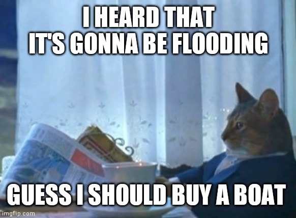 Guess I should buy a boat | I HEARD THAT IT'S GONNA BE FLOODING; GUESS I SHOULD BUY A BOAT | image tagged in memes,i should buy a boat cat | made w/ Imgflip meme maker
