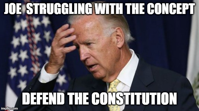 Joe Biden worries | JOE  STRUGGLING WITH THE CONCEPT; DEFEND THE CONSTITUTION | image tagged in joe biden worries | made w/ Imgflip meme maker