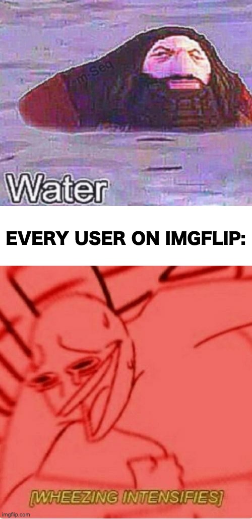 It's true though, our humour is mentally disabled | EVERY USER ON IMGFLIP: | image tagged in wheeze,memes,unfunny | made w/ Imgflip meme maker