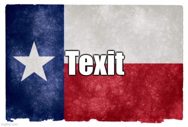 Texit | exit; T | image tagged in texas flag,texas,abortion,womens rights | made w/ Imgflip meme maker