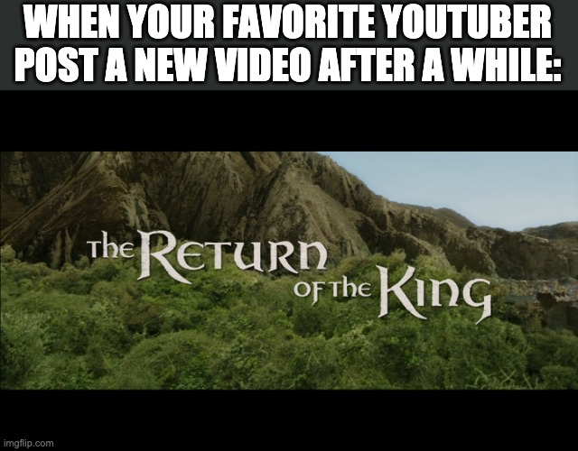 youtuber | WHEN YOUR FAVORITE YOUTUBER POST A NEW VIDEO AFTER A WHILE: | image tagged in return of the king | made w/ Imgflip meme maker