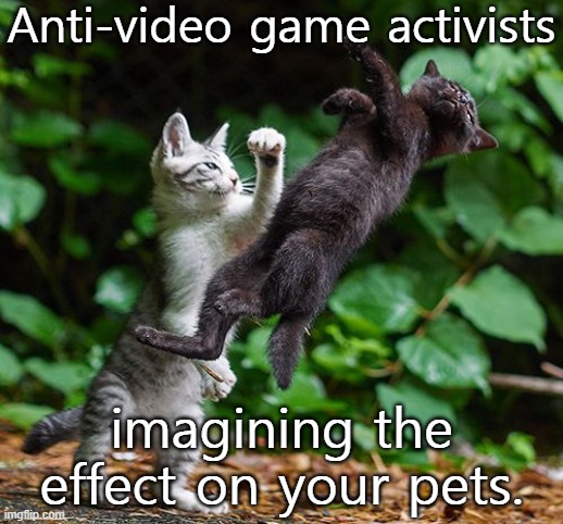 Animality. | Anti-video game activists; imagining the effect on your pets. | image tagged in mortal kombat,culture,wars | made w/ Imgflip meme maker