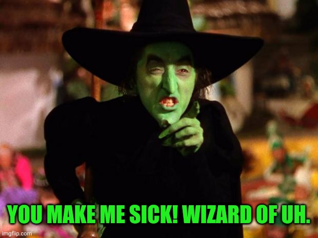 wicked witch  | YOU MAKE ME SICK! WIZARD OF UH. | image tagged in wicked witch | made w/ Imgflip meme maker