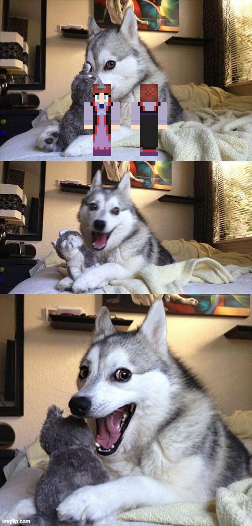 Bad Pun Dog Meme | image tagged in memes,bad pun dog | made w/ Imgflip meme maker