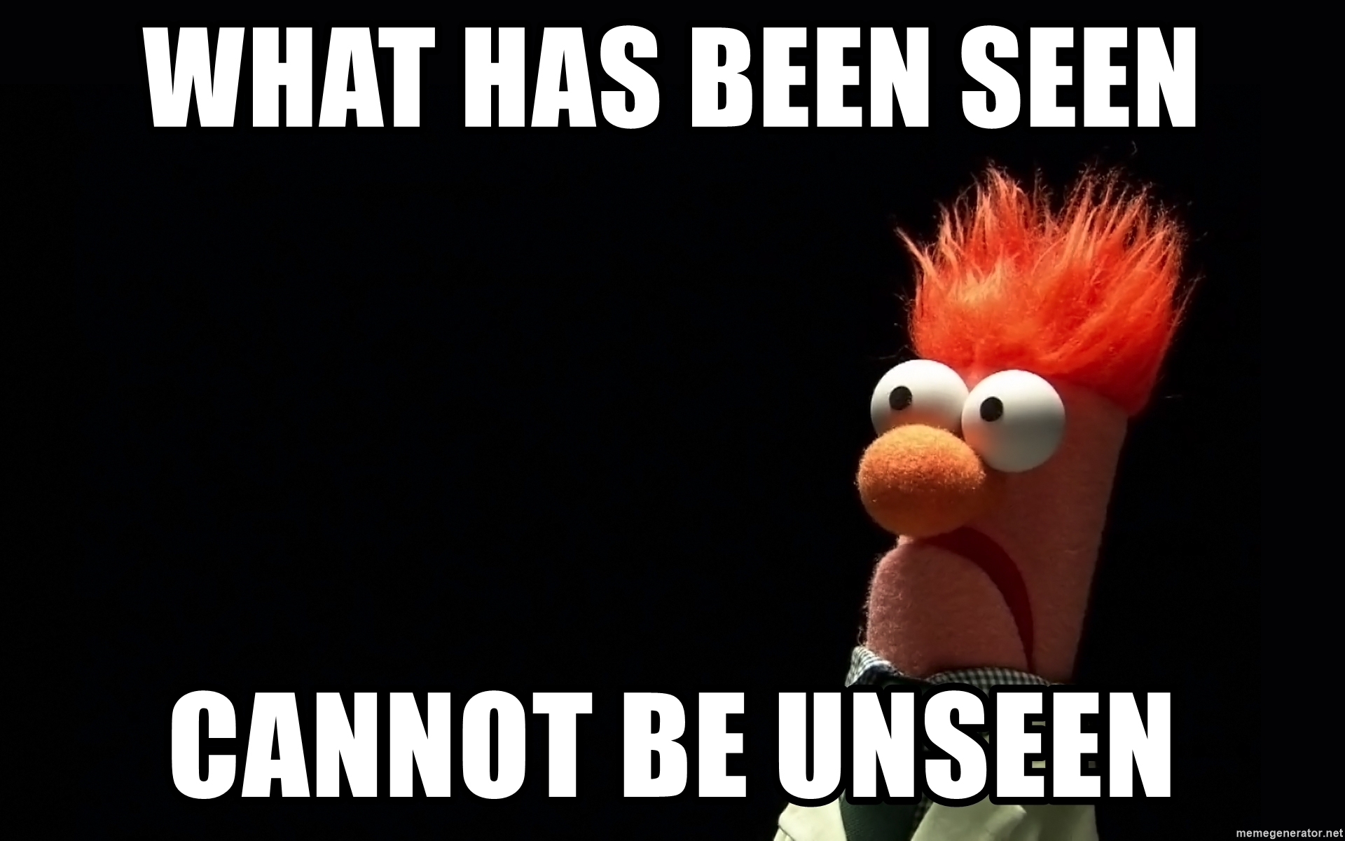 What Has Been Seen Cannot Be Unseen Blank Template Imgflip
