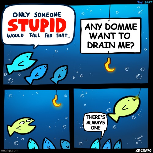 Someone Stupid Findom | ANY DOMME
WANT TO 
DRAIN ME? THERE'S
ALWAYS
ONE | image tagged in only someone stupid srgrafo,memes | made w/ Imgflip meme maker