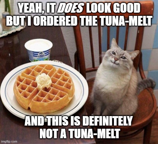 Struggling to contain your rage on a bad day and you can see that the wait-staff is swamped. | YEAH, IT              LOOK GOOD
 BUT I ORDERED THE TUNA-MELT; DOES; AND THIS IS DEFINITELY
 NOT A TUNA-MELT | image tagged in pancake cat,wrong order | made w/ Imgflip meme maker