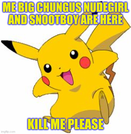 pikachu is dank | ME BIG CHUNGUS NUDEGIRL AND SNOOTBOY ARE HERE; KILL ME PLEASE | image tagged in pikachu is dank | made w/ Imgflip meme maker