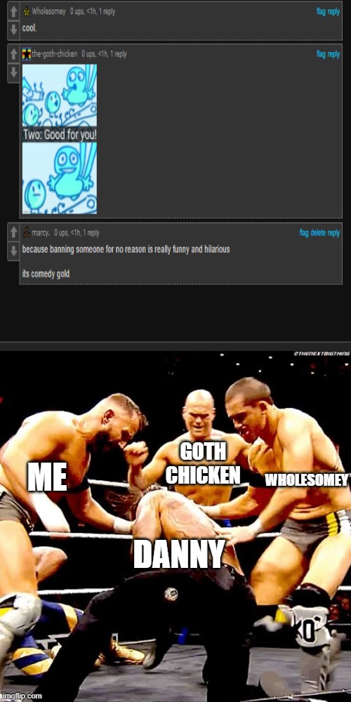Ganging up on someone | GOTH CHICKEN; WHOLESOMEY; ME; DANNY | image tagged in ganging up on someone | made w/ Imgflip meme maker