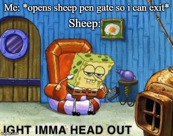 why | Me: *opens sheep pen gate so i can exit*; Sheep: | image tagged in ight imma head out | made w/ Imgflip meme maker