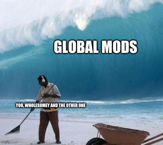 Beach Man Wave Tsunami Ignoring | GLOBAL MODS YOU, WHOLESOMEY AND THE OTHER ONE | image tagged in beach man wave tsunami ignoring | made w/ Imgflip meme maker