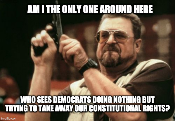 Am I The Only One Around Here Meme | AM I THE ONLY ONE AROUND HERE; WHO SEES DEMOCRATS DOING NOTHING BUT TRYING TO TAKE AWAY OUR CONSTITUTIONAL RIGHTS? | image tagged in memes,am i the only one around here | made w/ Imgflip meme maker