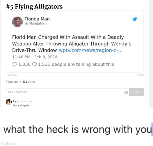 Florida confuses me | image tagged in what is wrong with you | made w/ Imgflip meme maker