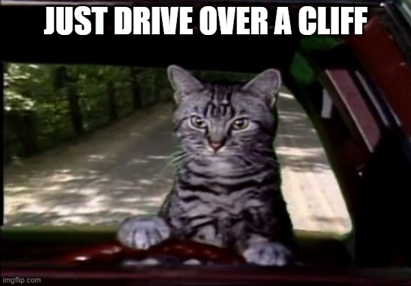 toonces | JUST DRIVE OVER A CLIFF | image tagged in toonces | made w/ Imgflip meme maker