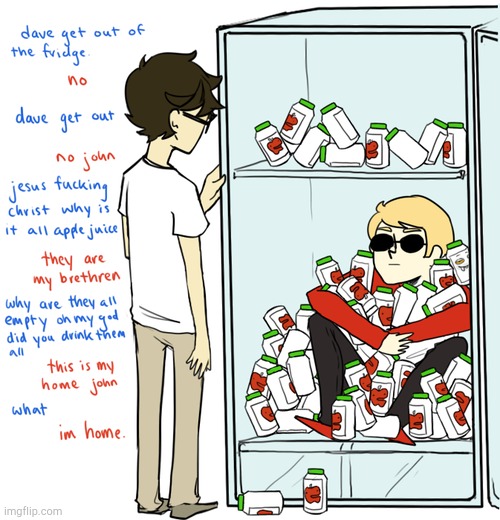 oh my god, bro, GET OUT OF THE FRIDGE | image tagged in homestuck | made w/ Imgflip meme maker