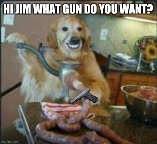 MEAT DOG | HI JIM WHAT GUN DO YOU WANT? | image tagged in meat dog | made w/ Imgflip meme maker