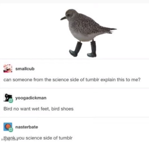 made w/ Imgflip meme maker