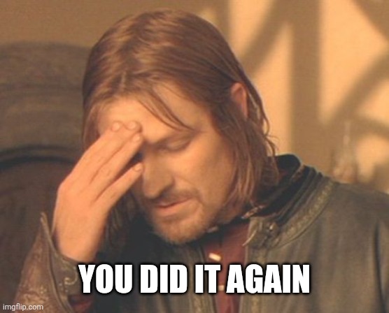 Frustrated Boromir Meme | YOU DID IT AGAIN | image tagged in memes,frustrated boromir | made w/ Imgflip meme maker