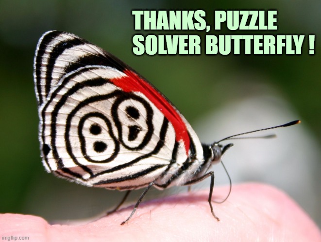 ◄► Reaction: Thanks, Puzzle Solver Butterfly | THANKS, PUZZLE          SOLVER BUTTERFLY ! | image tagged in puzzle solver butterfly,comment,reaction | made w/ Imgflip meme maker