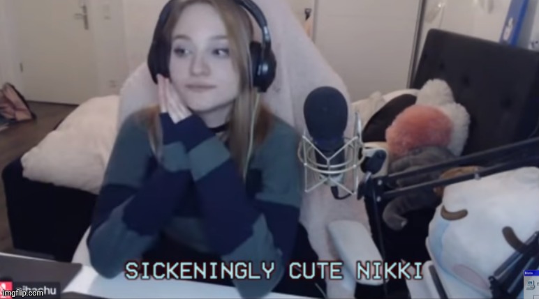 Niki nihachu | image tagged in niki nihachu | made w/ Imgflip meme maker