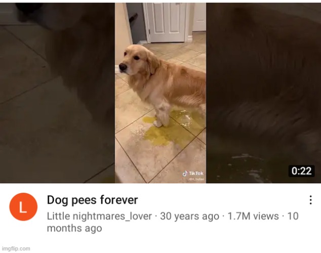 forever | made w/ Imgflip meme maker