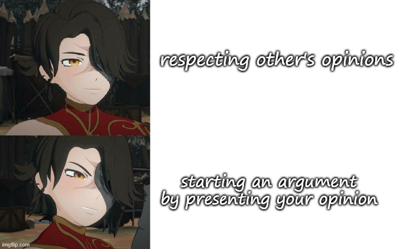 Cinder Meme |  respecting other's opinions; starting an argument by presenting your opinion | image tagged in cinder meme | made w/ Imgflip meme maker