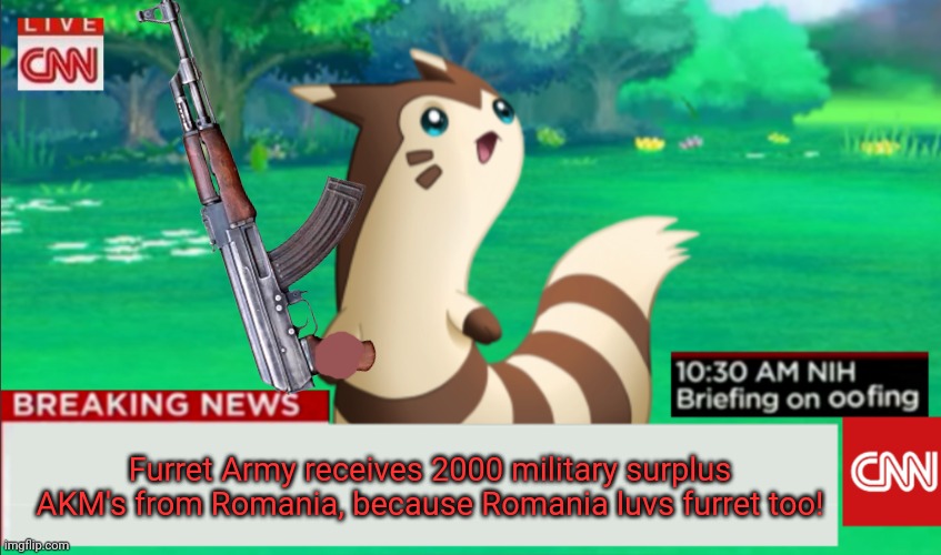 Furrets new weapons! | Furret Army receives 2000 military surplus AKM's from Romania, because Romania luvs furret too! | image tagged in breaking news furret,furret,pokemon,ak47,cute animals | made w/ Imgflip meme maker