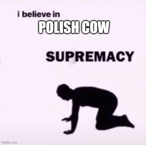 I believe in supremacy | POLISH COW | image tagged in i believe in supremacy | made w/ Imgflip meme maker