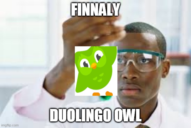 duolngo owl ivented | FINNALY; DUOLINGO OWL | image tagged in finally | made w/ Imgflip meme maker