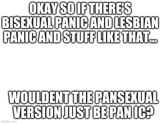 PANic | OKAY SO IF THERE'S BISEXUAL PANIC AND LESBIAN PANIC AND STUFF LIKE THAT... WOULDENT THE PANSEXUAL VERSION JUST BE PAN IC? | image tagged in blank white template | made w/ Imgflip meme maker