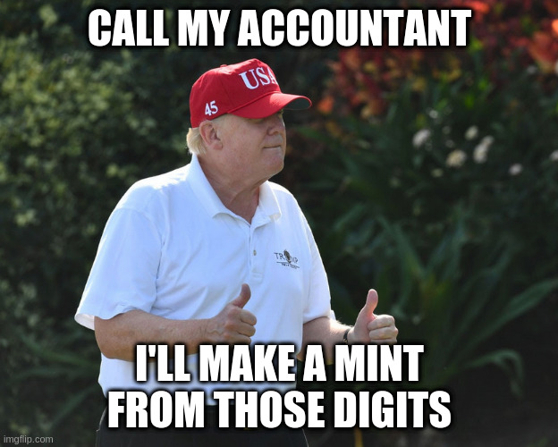 how to make dirty money and piss off people | CALL MY ACCOUNTANT; I'LL MAKE A MINT FROM THOSE DIGITS | image tagged in bs rumpt,rumpt | made w/ Imgflip meme maker