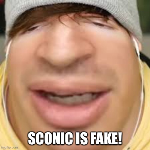 E | SCONIC IS FAKE! | image tagged in e | made w/ Imgflip meme maker