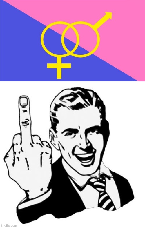 just found out a straight pride flag exists | image tagged in memes,1950s middle finger | made w/ Imgflip meme maker