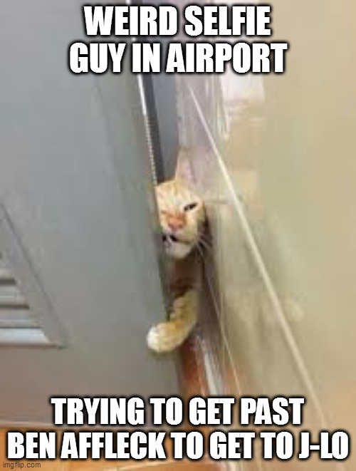 Cat squeezing through the door | WEIRD SELFIE GUY IN AIRPORT; TRYING TO GET PAST BEN AFFLECK TO GET TO J-LO | image tagged in cat squeezing through the door | made w/ Imgflip meme maker