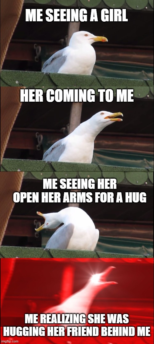 My life | ME SEEING A GIRL; HER COMING TO ME; ME SEEING HER OPEN HER ARMS FOR A HUG; ME REALIZING SHE WAS HUGGING HER FRIEND BEHIND ME | image tagged in memes,inhaling seagull | made w/ Imgflip meme maker